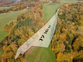 Prodej louky, 17161 m², Lešná