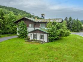 Prodej restaurace, stravování, 500 m², Plavy