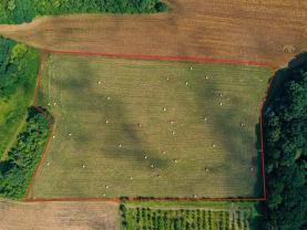 Prodej louky, 27304 m², Polom