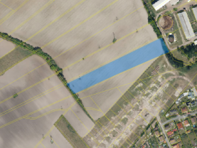 Prodej pole, 10922 m², Živanice