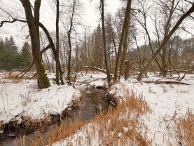 Prodej vodní plochy, 8552 m², Pořín - Dolní Hořice