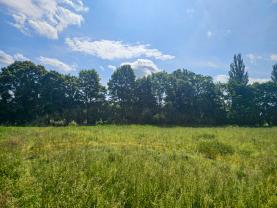 Prodej louky, 5500 m², Hradec Králové