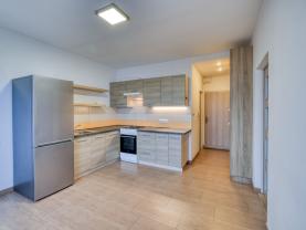 Pronájem bytu 1+1, 39 m², Plzeň, ul. Skupova