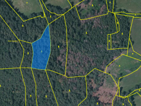 Prodej lesa, 4169 m², Malenice