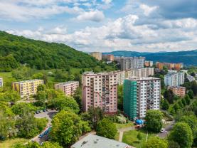 Pronájem bytu 1+1, 42 m², Ústí nad Labem, ul. Jizerská