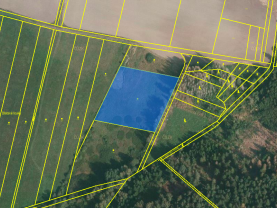 Prodej louky, 8286 m², Komárov
