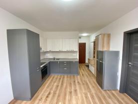 Pronájem bytu 1+1, 35 m², Děčín, ul. Kosmonautů