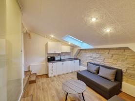 Pronájem bytu 1+1, 29 m², Mariánské Lázně, ul. Třebízského