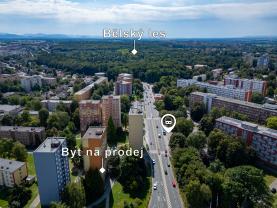 Prodej bytu 2+1, 55 m², Ostrava, ul. Plzeňská