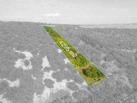 Prodej ovocného sadu 4295 m2 v Židlochovicích