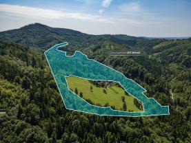 Prodej lesa, 207244 m², Nýdek