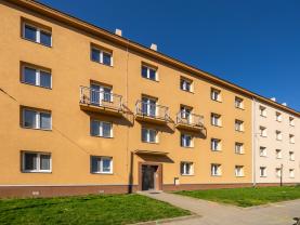 Prodej bytu 2+1, 61 m², Brno, ul. Purkyňova