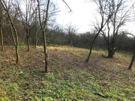 Prodej zahrady, 394 m², Postoloprty