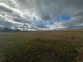 Prodej pozemku k bydlení, 4806 m², Větřkovice