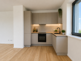 Pronájem bytu 3+kk, 92 m², Plzeň, ul. Na Průhonu