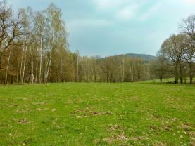 Prodej louky, 55278 m², Stružnice, okres Česká Lípa