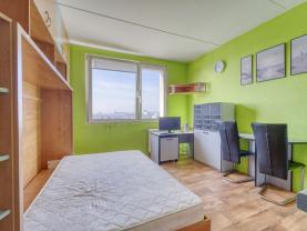 Prodej bytu 1+kk, 20 m², Plzeň, ul. Sousedská