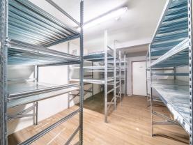 Pronájem skladu, 19 m², Štěnovice, ul. Plzeňská