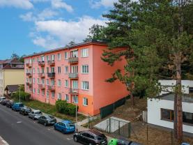 Prodej bytu 2+1, 49 m², Děčín, ul. Riegrova