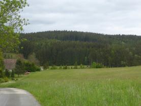 Prodej lesních pozemků a louky, 26 000 m², Hronov