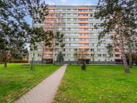 Prodej bytu 1+kk, 35 m², Hradec Králové, ul. Třebechovická