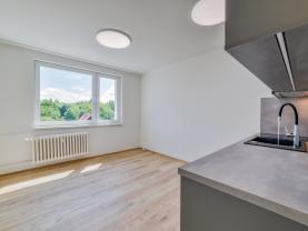 Pronájem bytu 1+1, 40 m², Mariánské Lázně, ul. Podhorská