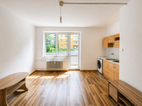 Pronájem bytu 1+kk, 25 m², Havířov, ul. Kmochova