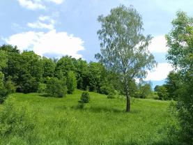Prodej pozemku k bydlení v Božanově 3 276 m²
