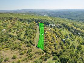 Prodej zahrady, 3718 m², Židlochovice