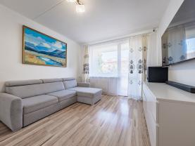 Prodej bytu 3+1, 62 m², DV, Chomutov, ul. Borová