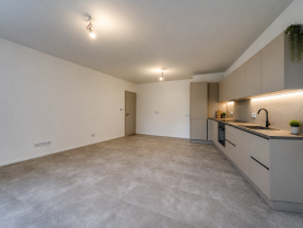 Pronájem bytu 3+kk, 103 m², Plzeň, ul. Na Průhonu