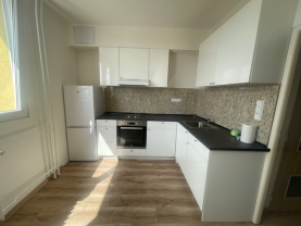 Prodej bytu 1+1, 35 m², Ostrava, ul. náměstí Antonie Bejdové