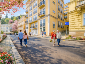Prodej restaurace, stravování, 147 m², Mariánské Lázně