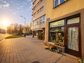 Pronájem obchod a služby, 35 m², Ostrava, ul. Nádražní