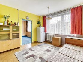 Prodej bytu 1+1, 36 m², Litvínov, ul. Čapkova