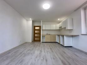 Prodej bytu 2+kk, 48 m², Ostrava, ul. Plzeňská
