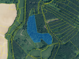 Prodej lesa, 33931 m², Chmelná u Sušice