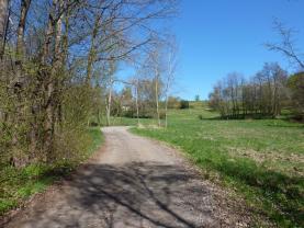 Prodej pozemku k rekreaci,1453 m², Brzice, Dvůr Králové nL