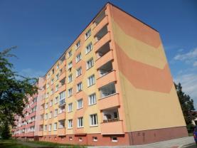Pronájem, byt 1+1, 42 m2, Cheb, ul. Šeříková