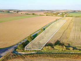 Prodej orné půdy, 10 404 m², Ořechov u Brna