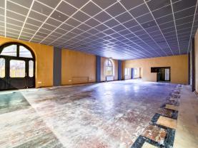 Pronájem obchod a služby, 470 m², Plzeň, ul. Francouzská