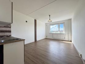Prodej bytu 1+kk, 25 m², Karlovy Vary, ul. U Koupaliště