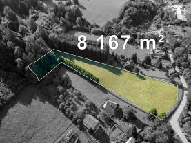 Prodej pozemku k bydlení, 8167 m², Nový Hrozenkov