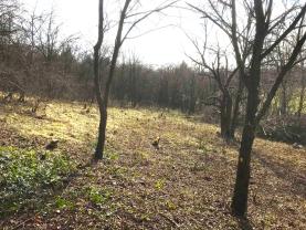 Prodej zahrady, 782 m², Postoloprty