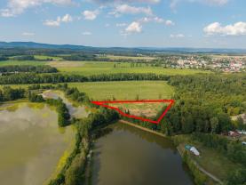 Prodej louka, 13.846 m², Františkovy Lázně