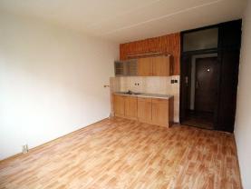 Prodej bytu 1+kk, 20 m², Kadaň, ul. Školní