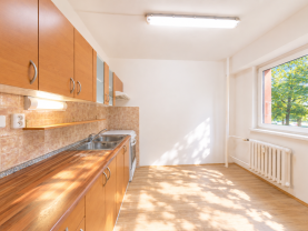 Prodej bytu 2+1, 45 m², Orlová, ul. Na Stuchlíkovci