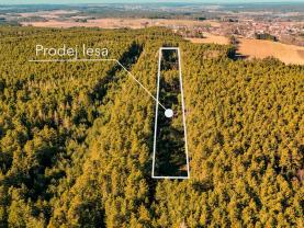 Prodej lesa, 18382 m², Olešnice u Trhových Svinů