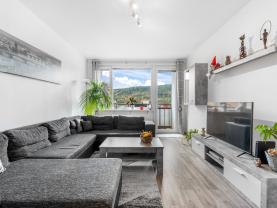 Prodej bytu 4+1, 78 m², Děčín, ul. Kyjevská