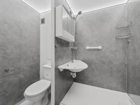 Pronájem bytu 1+1, 42 m², Ústí nad Labem, ul. Jizerská